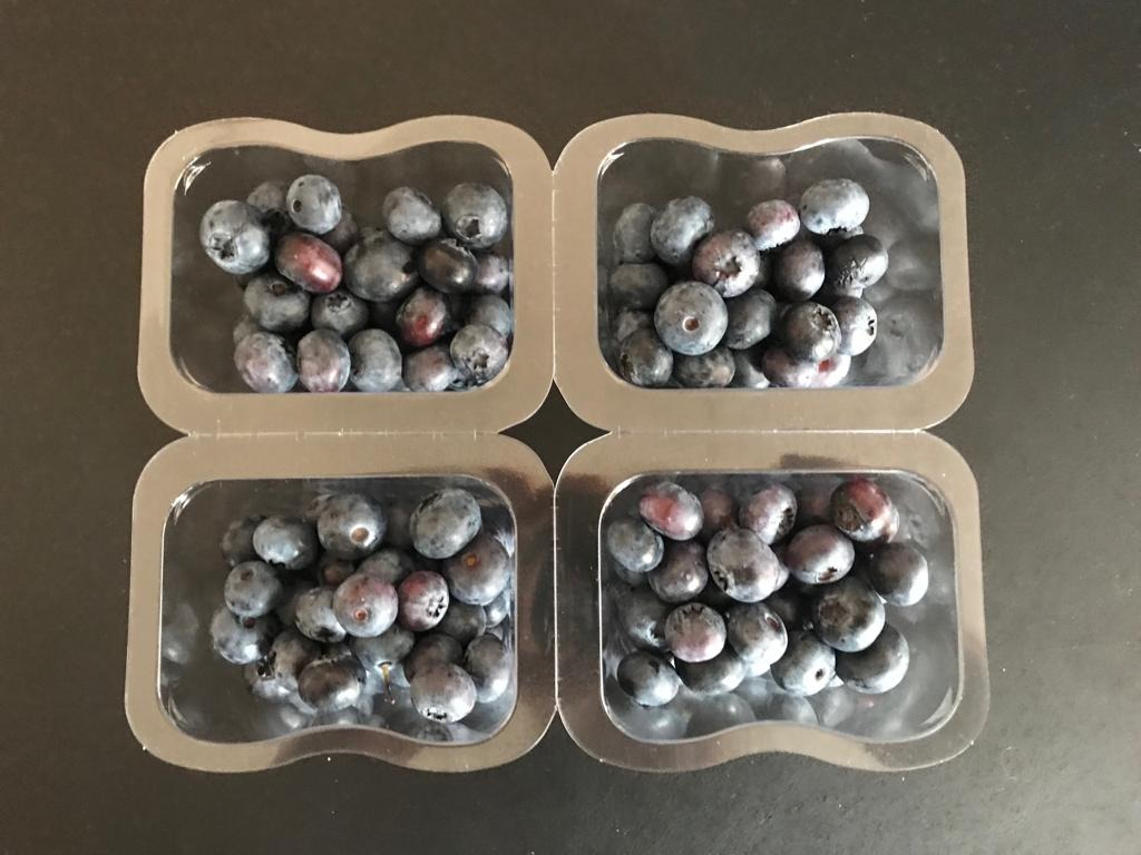 Clamshell y Punnets 3