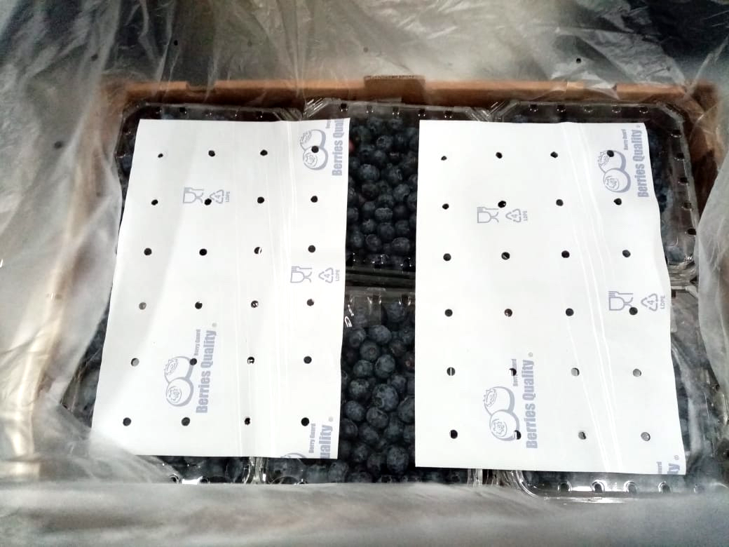 Generador SO2 Berries Quality 21x32 - Bolsa Macro perforada